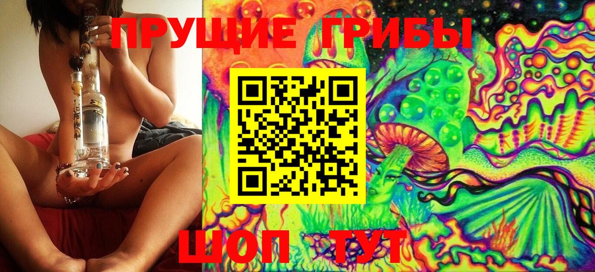 купить  цена  Бирск  Галлюциногенные грибы Psilocybine cubensis 