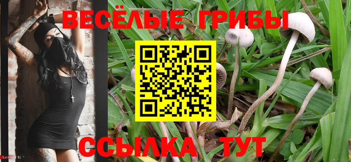 Бирск  Псилоцибиновые грибы прущие грибы  Вход с VPN 