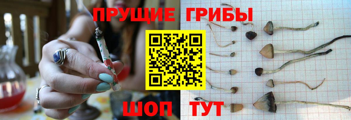 Псилоцибиновые грибы ЛСД Бирск